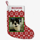 Recherche de chat chaussette de noël Pour animaux