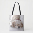 Recherche de heure du coucher sacs Animal