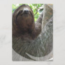 Recherche de paresse invitations Faune