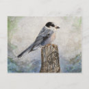 Recherche de entrelacé cartes postales Illustration