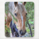 Zoek naar mooi paard muismatten Boerderij