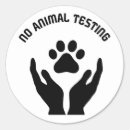 Recherche de expérimentation animale Chien
