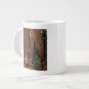 Recherche de grand arbre tasses Parc