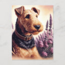 Recherche de airedales cartes postales Chien
