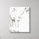 Recherche de dromadaire posters Sauvage