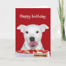 Recherche de anniversaire de bull terrier cartes invitations Bulle