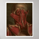 Recherche de essai art Médical