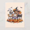 Zoek naar cartoon heks briefkaarten Halloween