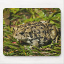 Recherche de focal tapis souris Longueur totale