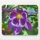 Recherche de fleurs montagne tapis souris Colorado