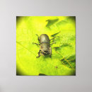 Zoek naar beetle kunst Bug