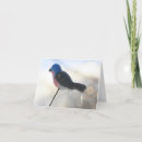 Zoek naar storm fotografie Natuur