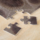 Recherche de fossile puzzles Pierre