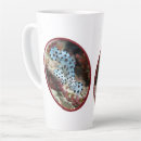 Recherche de mérou tasses Vie marine