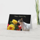 Zoek naar felines kaarten Leuk
