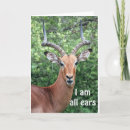 Recherche de deer anniversaire cartes Chasseur de cerfs