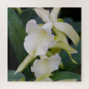 Recherche de orchidée blanche puzzles Fleur