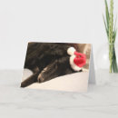 Zoek naar hondkerstmis kaarten Honden