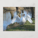 Recherche de diffusion cartes postales Pour tous