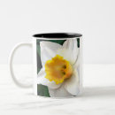 Recherche de jonquille jaune tasses Fleurs