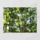 Recherche de printemps cartes postales Pour elle