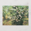 Recherche de rossis cartes postales Roses