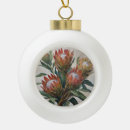 Zoek naar zuid afrika ornamenten Afrikaans