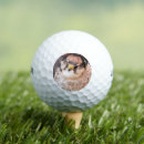 Recherche de birdie golf balles Animal