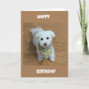 Recherche de de conducteur vœux cartes Ado