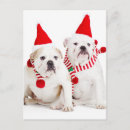 Recherche de dressing cartes postales Chapeau santa