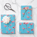 Recherche de pink flamingo papier cadeau Oiseau
