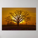 Zoek naar buur posters Natuur