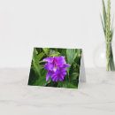 Recherche de orchidées pourpres vœux cartes Fleurs