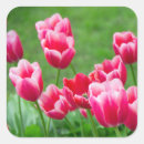 Recherche de fleurs tulipe autocollants Mignon