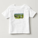 Recherche de kilkenny tshirts Enterrement