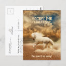 Zoek naar witte paarden briefkaarten Wit paard