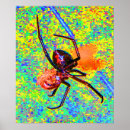 Recherche de araignée posters Arachnide