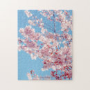 Recherche de cerisier puzzles Belle