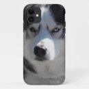 Zoek naar husky dog iphone hoesjes Hond