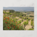 Recherche de la rioja Agriculture