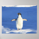 Recherche de oiseau sauvage posters Mignon