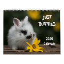 Recherche de lapin calendriers Adorable