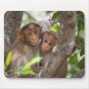 Recherche de arbre tapis souris Amitié