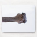 Recherche de autruche tapis souris Portrait