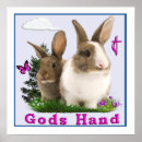 Recherche de bunny posters Nature