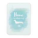 Recherche de teckel maison magnets Chien
