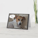 Zoek naar hefboom russell terrier De terriër van hefboomrussell