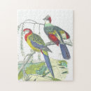 Recherche de oiseaux vintages puzzles Nature