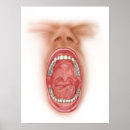 Recherche de bouche ouverte posters Langue humaine
