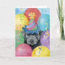 Recherche de flandre vœux cartes Bouvier des flandres